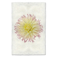 photography flower white yellow purple handmade paper