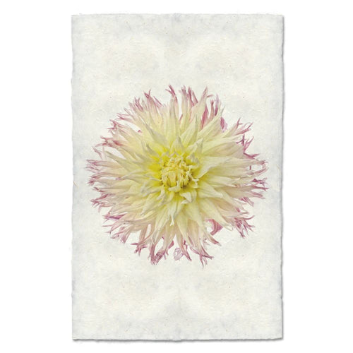photography flower white yellow purple handmade paper