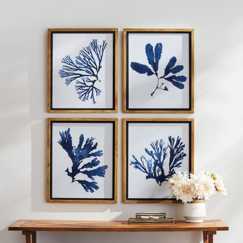 Four framed blue seaweed prints on a wall above a wooden console table with decorative items.