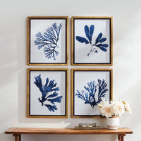 Four framed blue seaweed prints on a wall above a wooden console table with decorative items.