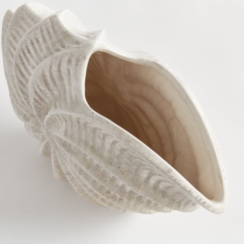 Opening of white shell-shaped vase