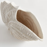 Opening of white shell-shaped vase