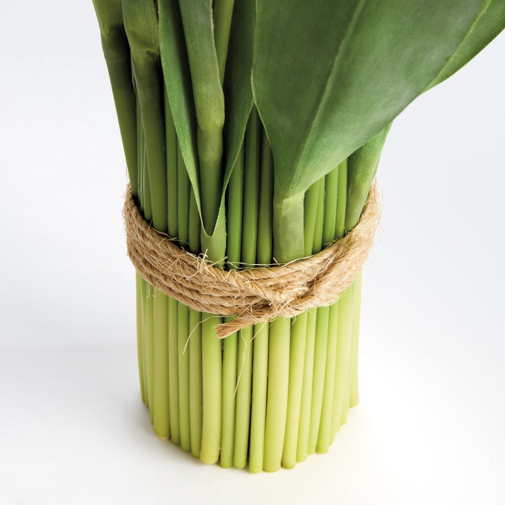 Bunch of green sticks tied with twine on a white background