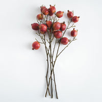 Artificial pomegranate branch on a white background