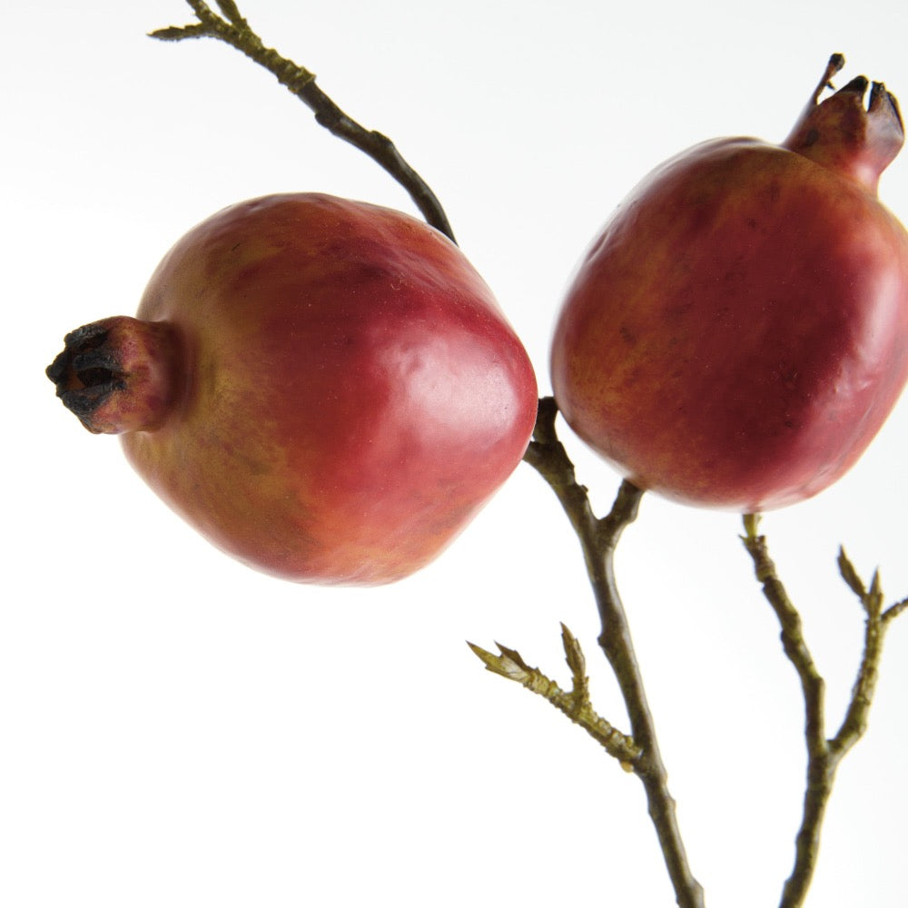 Two pomegranates on a branch against a white background