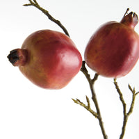 Two pomegranates on a branch against a white background