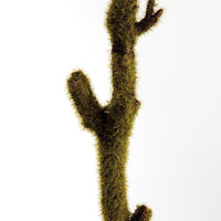 cloe up of a mossy branch
