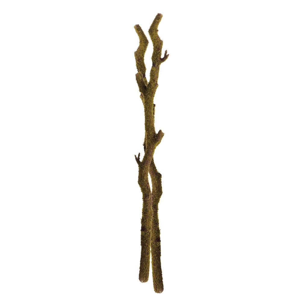 two mossy branches intertwined