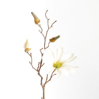 Artificial flower branch with white flowers and buds on a white background