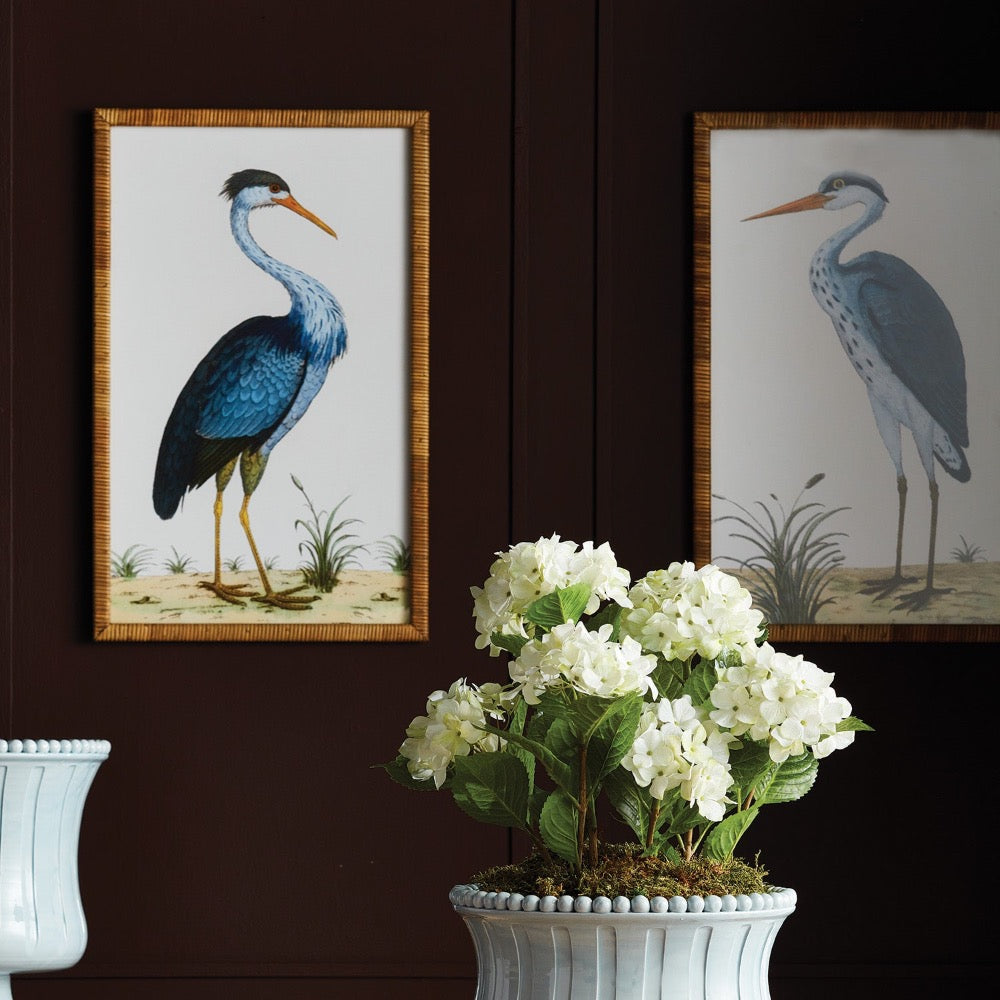 Two framed paintings of herons on a dark wall with a white floral arrangement in the foreground.