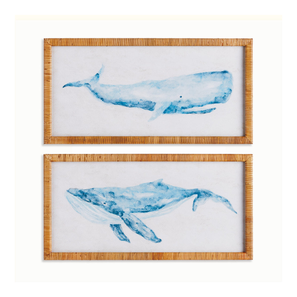Two framed illustrations of blue whales on a white background