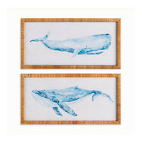 Two framed illustrations of blue whales on a white background