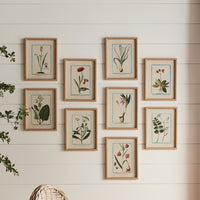 Set of framed botanical prints on a wooden wall.