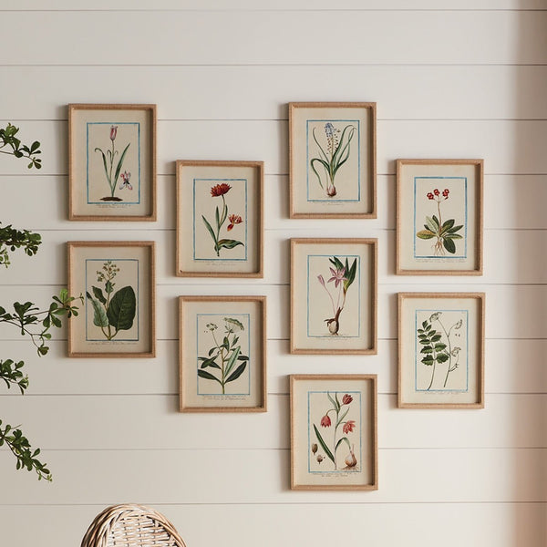 Set of framed botanical prints on a wooden wall.