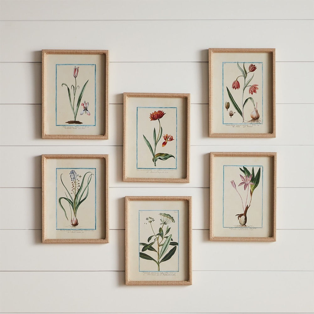 Set of five framed botanical prints on a white wooden wall.
