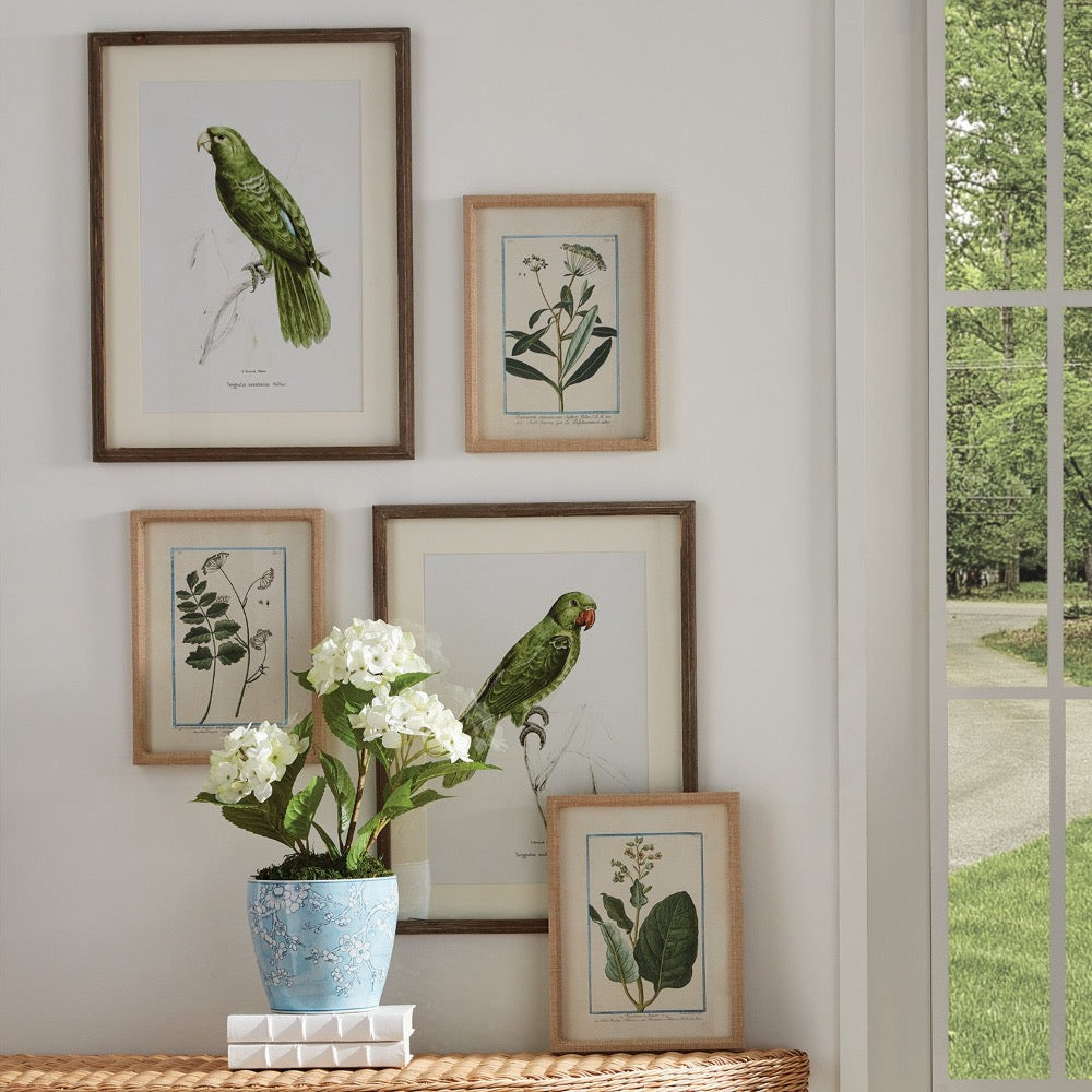 Framed botanical prints of birds and plants on a wall with a vase of flowers on a table.