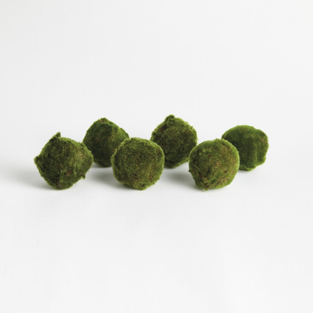 Six green moss balls on a white background