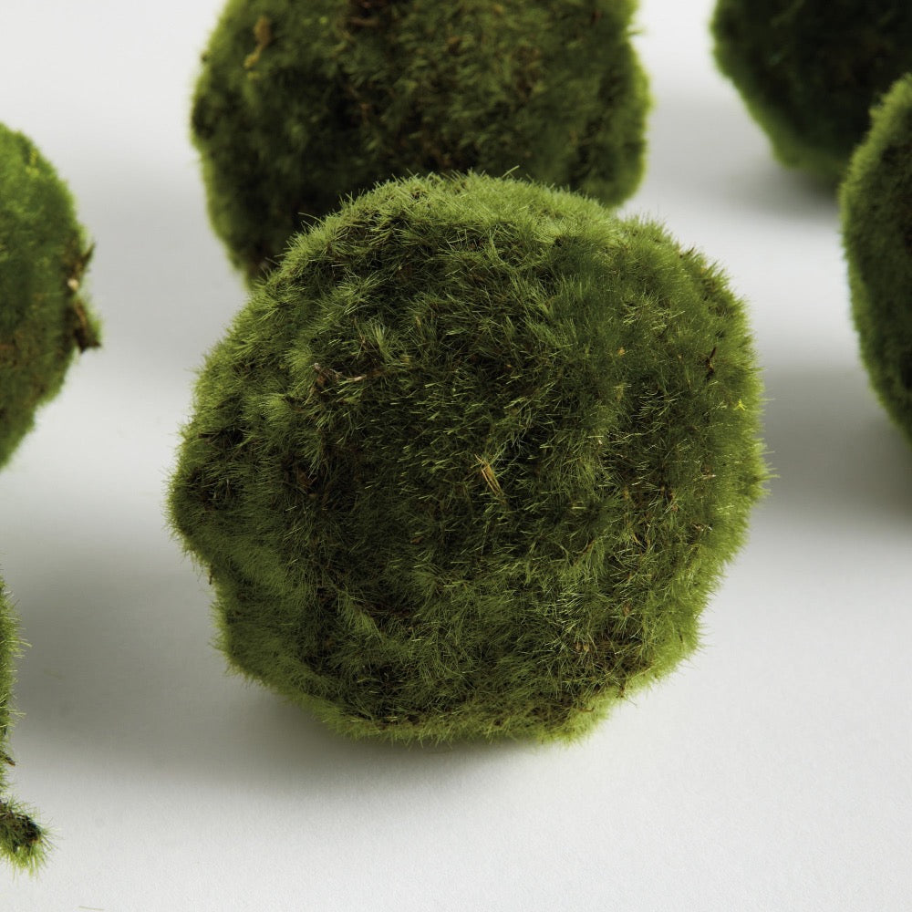 Close-up of green moss balls on a white background