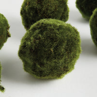 Close-up of green moss balls on a white background