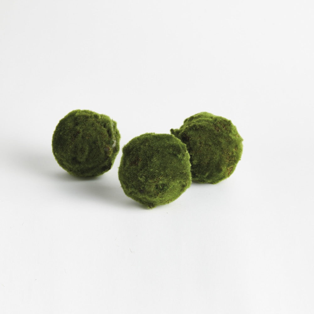 Three green moss balls on a white background