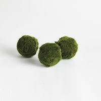 Three green moss balls on a white background