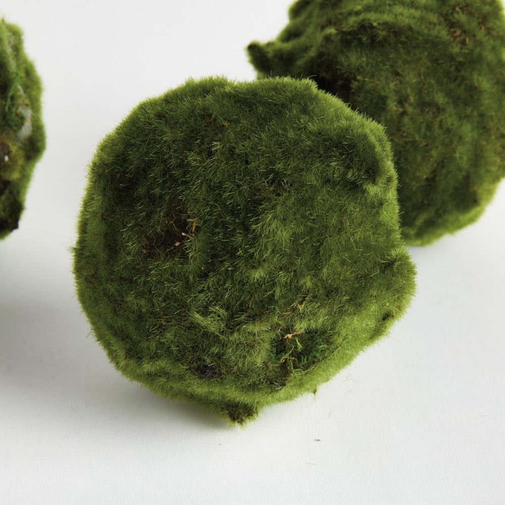 Three green moss balls on a white background