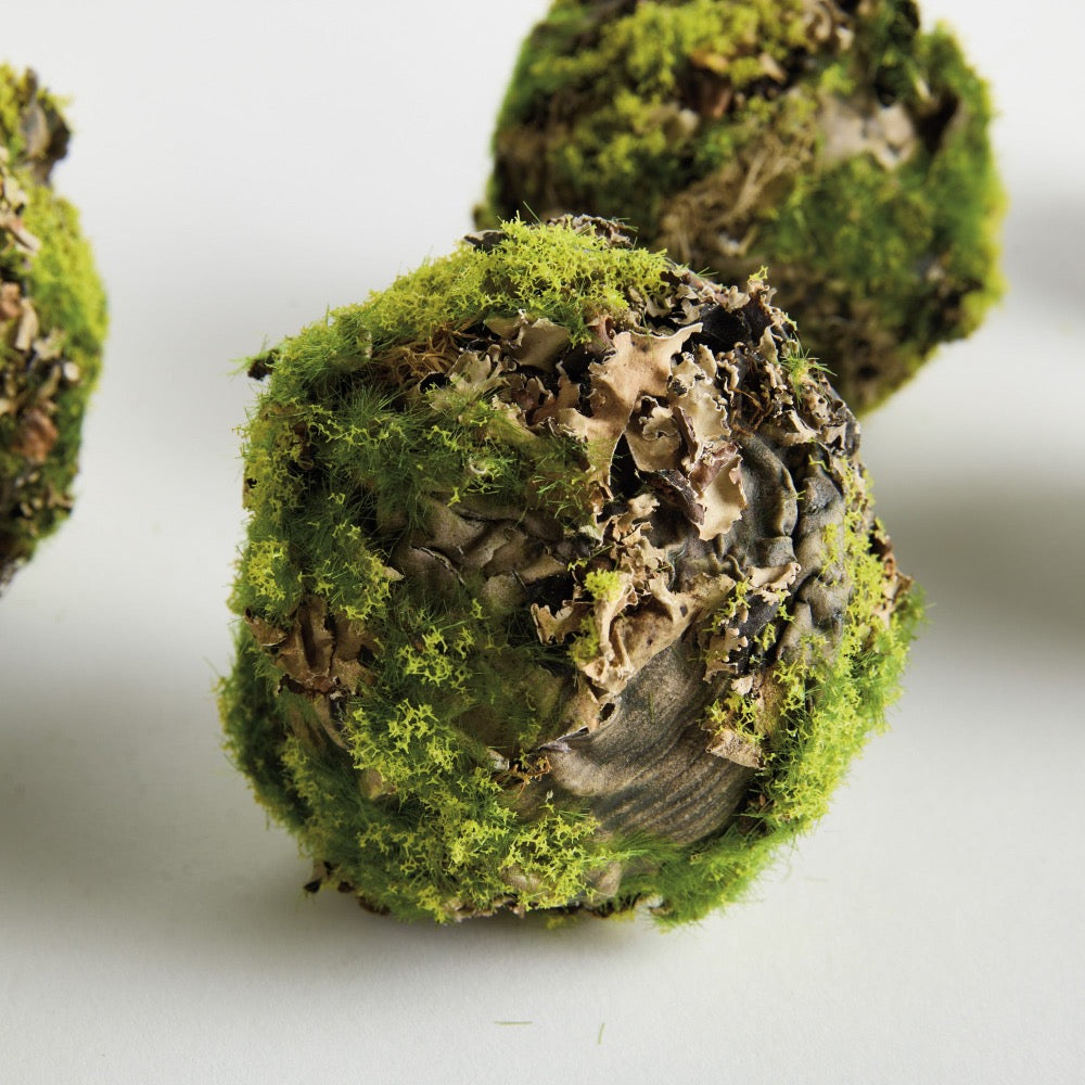 Close-up of moss-covered orbs on a white background