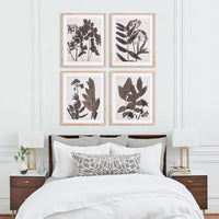 A neatly made bed with patterned pillows is adorned with the Pressed Foliage Prints by Napa Home & Garden, arranged in a set of four above it. The room features white walls, nightstands, and a light wood frame accentuating the artwork.