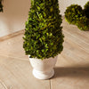 cone green topiary boxwood white vase