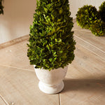cone green topiary boxwood white vase