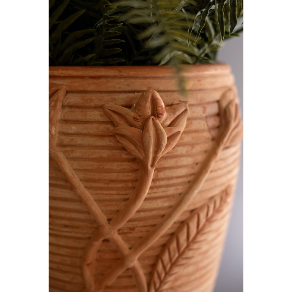Terracotta vase with floral design and plant on a white background