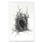 Photography Art - Nest Study #12 (paper, size + frame options) by Barloga Studios