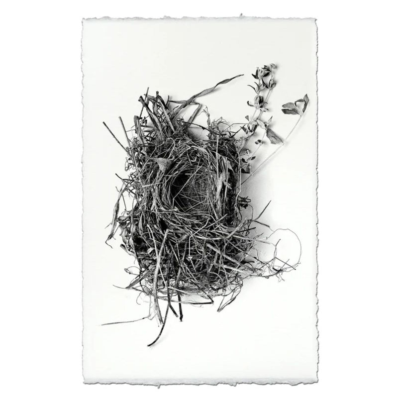 photography black white handmade paper bird nest #1