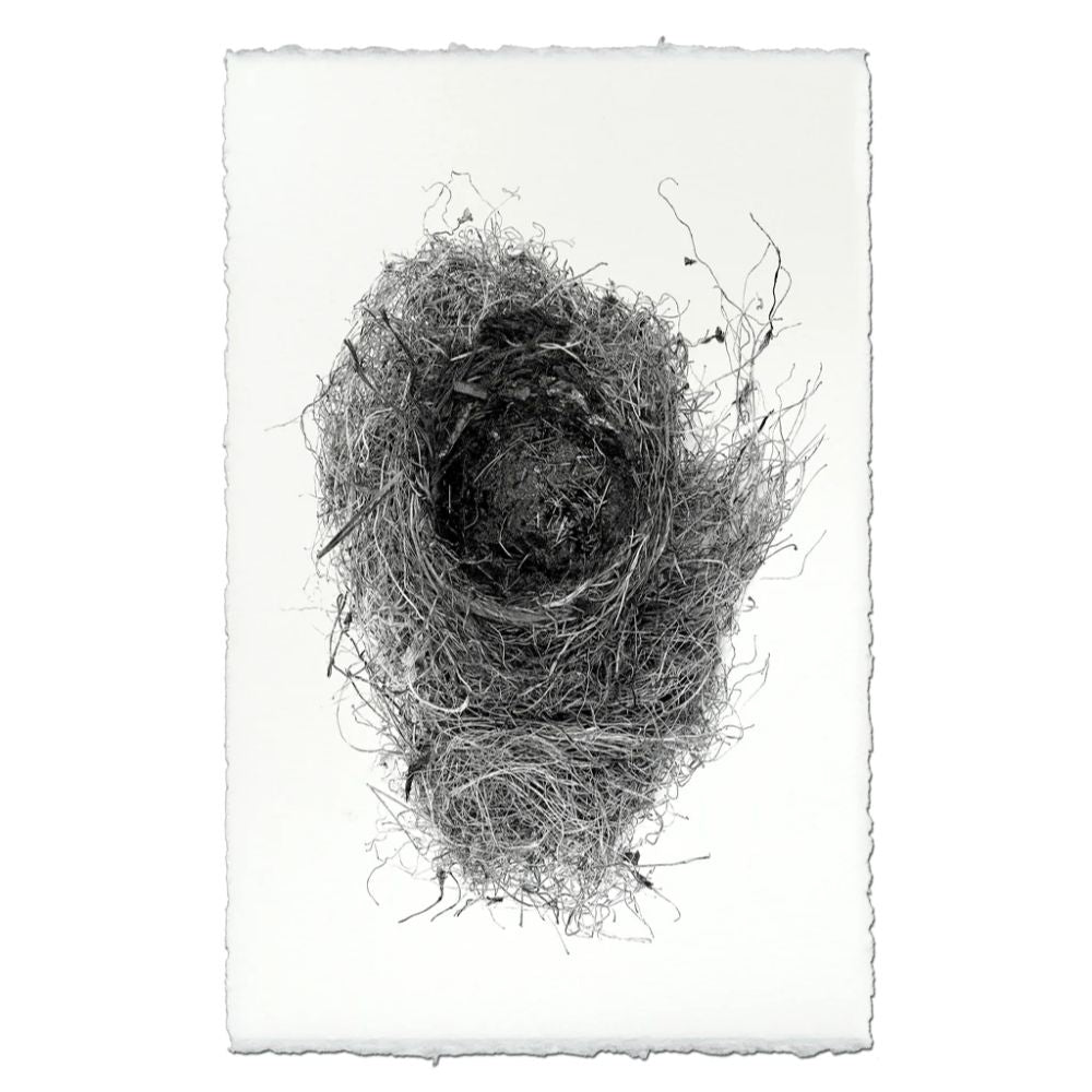 photography black white handmade paper bird nest #6