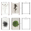 Four stunning Owl Wings Grand Format Photography Art prints from Barloga Studios are available in two distinct frame styles: leather with steel hangers and wood with steel hangers. Discover the elegance of custom prints featuring frameless hanging options for a modern touch.
