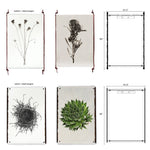 Four stunning Owl Wings Grand Format Photography Art prints from Barloga Studios are available in two distinct frame styles: leather with steel hangers and wood with steel hangers. Discover the elegance of custom prints featuring frameless hanging options for a modern touch.