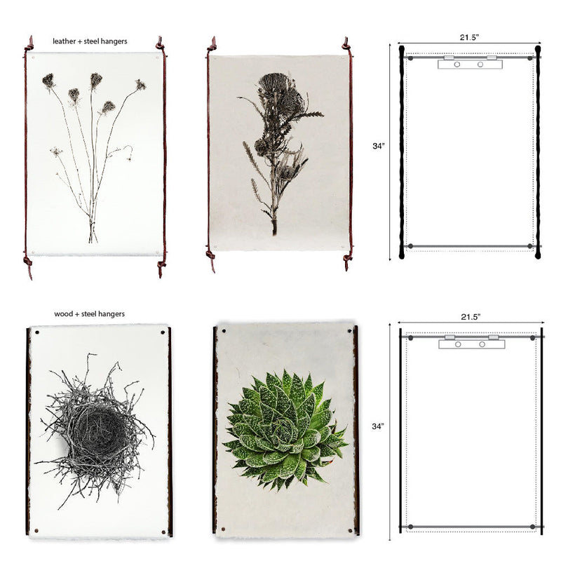 Four stunning Owl Wings Grand Format Photography Art prints from Barloga Studios are available in two distinct frame styles: leather with steel hangers and wood with steel hangers. Discover the elegance of custom prints featuring frameless hanging options for a modern touch.