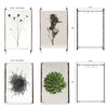 The Carrick Grand Format Photography Art from Barloga Studios offers four botanical prints on parchment with dimensions and hanging options, featuring plants and a nest. These pieces beautifully encapsulate a serene nautical style that evokes the tranquility of the sea.