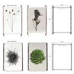 The Carrick Grand Format Photography Art from Barloga Studios offers four botanical prints on parchment with dimensions and hanging options, featuring plants and a nest. These pieces beautifully encapsulate a serene nautical style that evokes the tranquility of the sea.