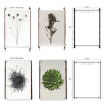 Grand Format Photography Art - Carrick (paper + hanging options)
