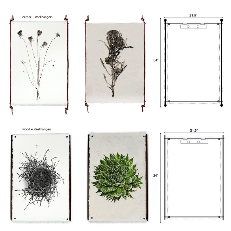 The Carrick Grand Format Photography Art from Barloga Studios offers four botanical prints on parchment with dimensions and hanging options, featuring plants and a nest. These pieces beautifully encapsulate a serene nautical style that evokes the tranquility of the sea.