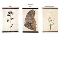 Three frameless canvas prints with wooden hangers: botanical, bird wing, and twisted plant stem designs. Featuring stunning golden owl art from Barloga Studios' Owl Wings Grand Format Photography Art (paper + hanging options), these custom prints will add a unique touch to any room.