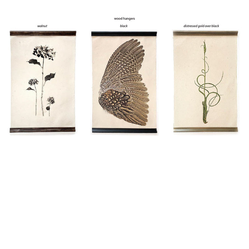 Three frameless canvas prints with wooden hangers: botanical, bird wing, and twisted plant stem designs. Featuring stunning golden owl art from Barloga Studios' Owl Wings Grand Format Photography Art (paper + hanging options), these custom prints will add a unique touch to any room.