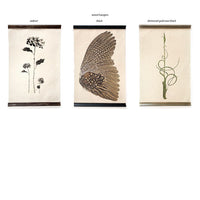 Three Double Seahorse Grand Format Photography Art prints with wood hangers from Barloga Studios, featuring floral, wing, and vine designs.