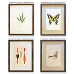 frame photography print