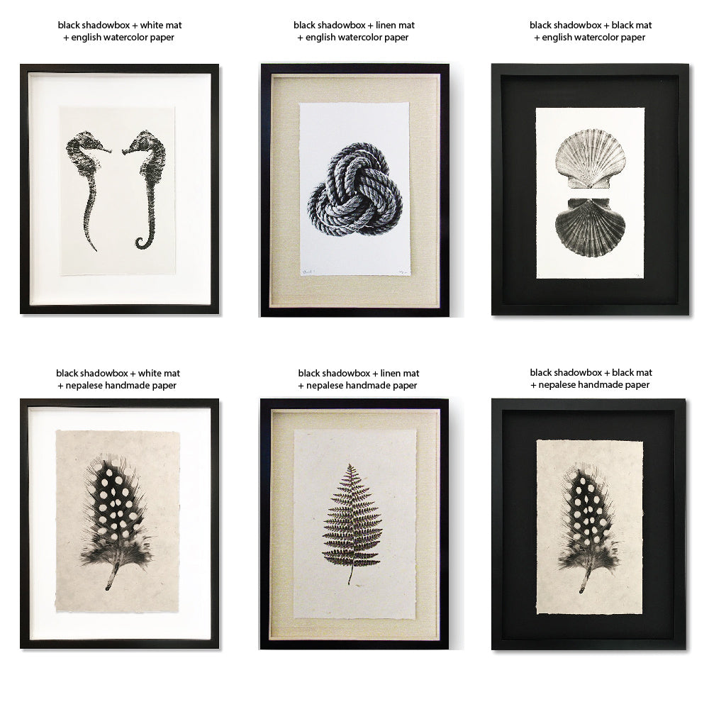 Six framed nature illustrations featuring seahorses, a knot, shells, feathers, and a fern displayed in different framing options. Complement the collection with Barloga Studios' Collective Succulents Photography Art, available in various sizes and styles, or pieces on handmade paper for a personalized touch.