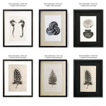 framed photography prints