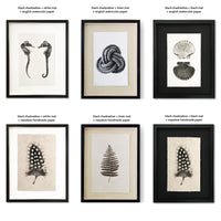 Six framed marine life artworks by Barloga Studios featuring knots and shells in archival wood frames with varied mats.