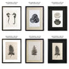 Photography Art - Collective Hydrangeas (size + style options)