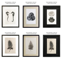 framed photography prints
